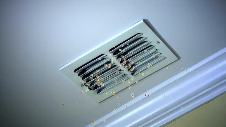 Best Air Vent Cleaning Services  in Randolph, WI