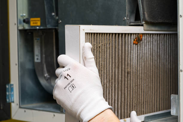Best HVAC System Cleaning  in Randolph, WI